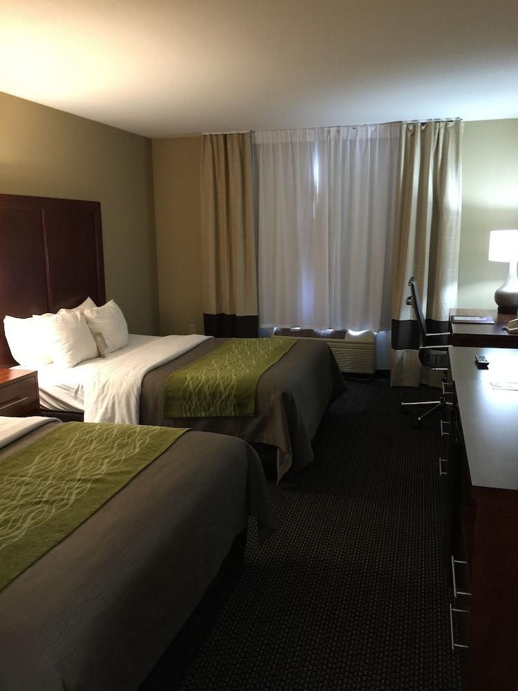 Comfort Inn Garden City Luaran gambar