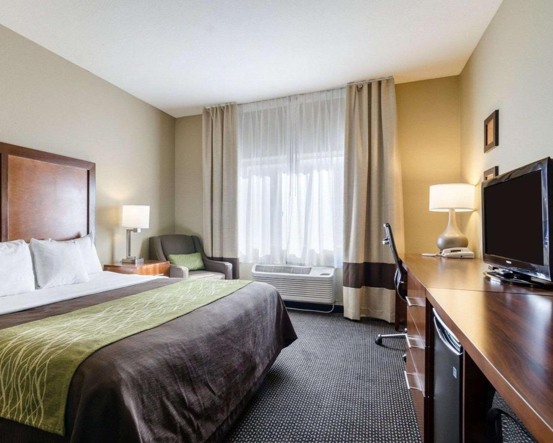 Comfort Inn Garden City Luaran gambar