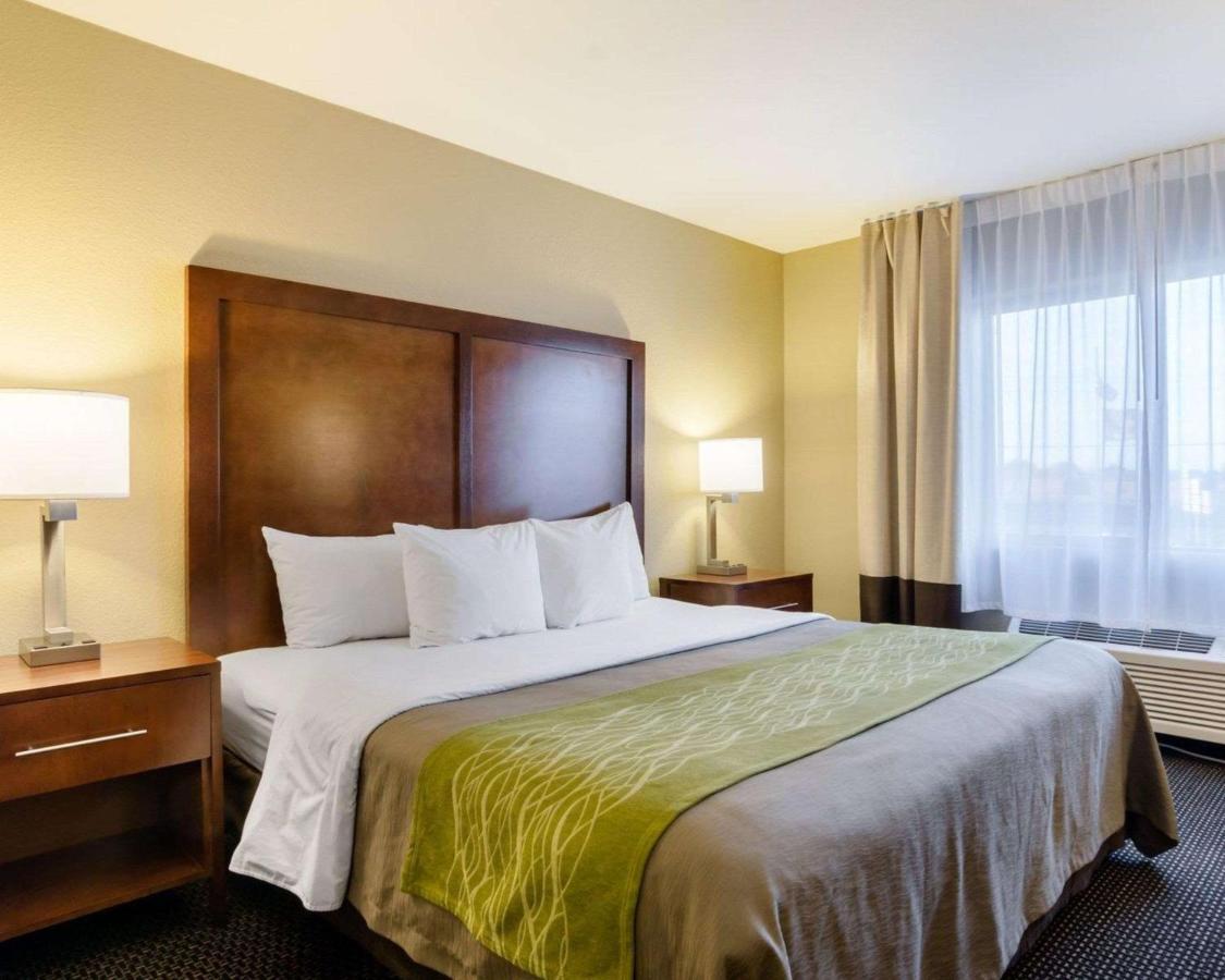 Comfort Inn Garden City Luaran gambar